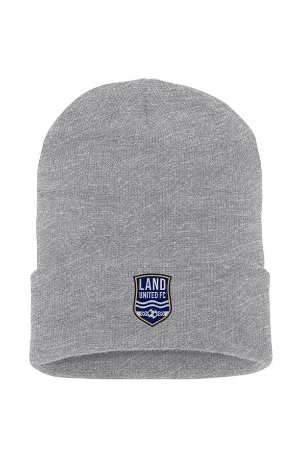 Cuffed Beanie